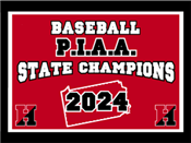 Baseball State Banner
