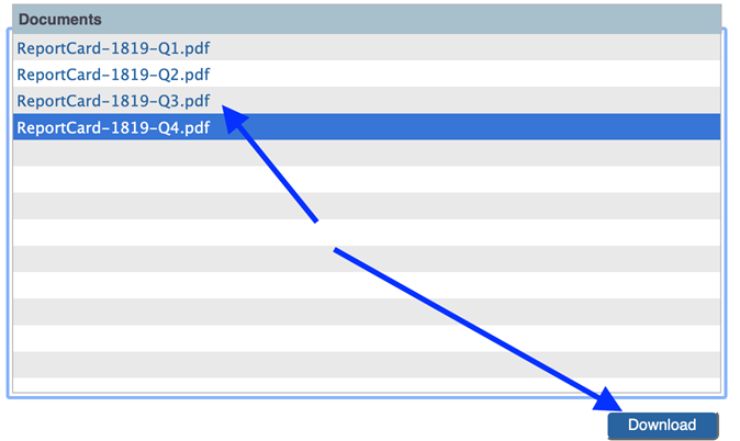 Screenshot of PDF 